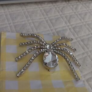 Crystal Spider Brooch